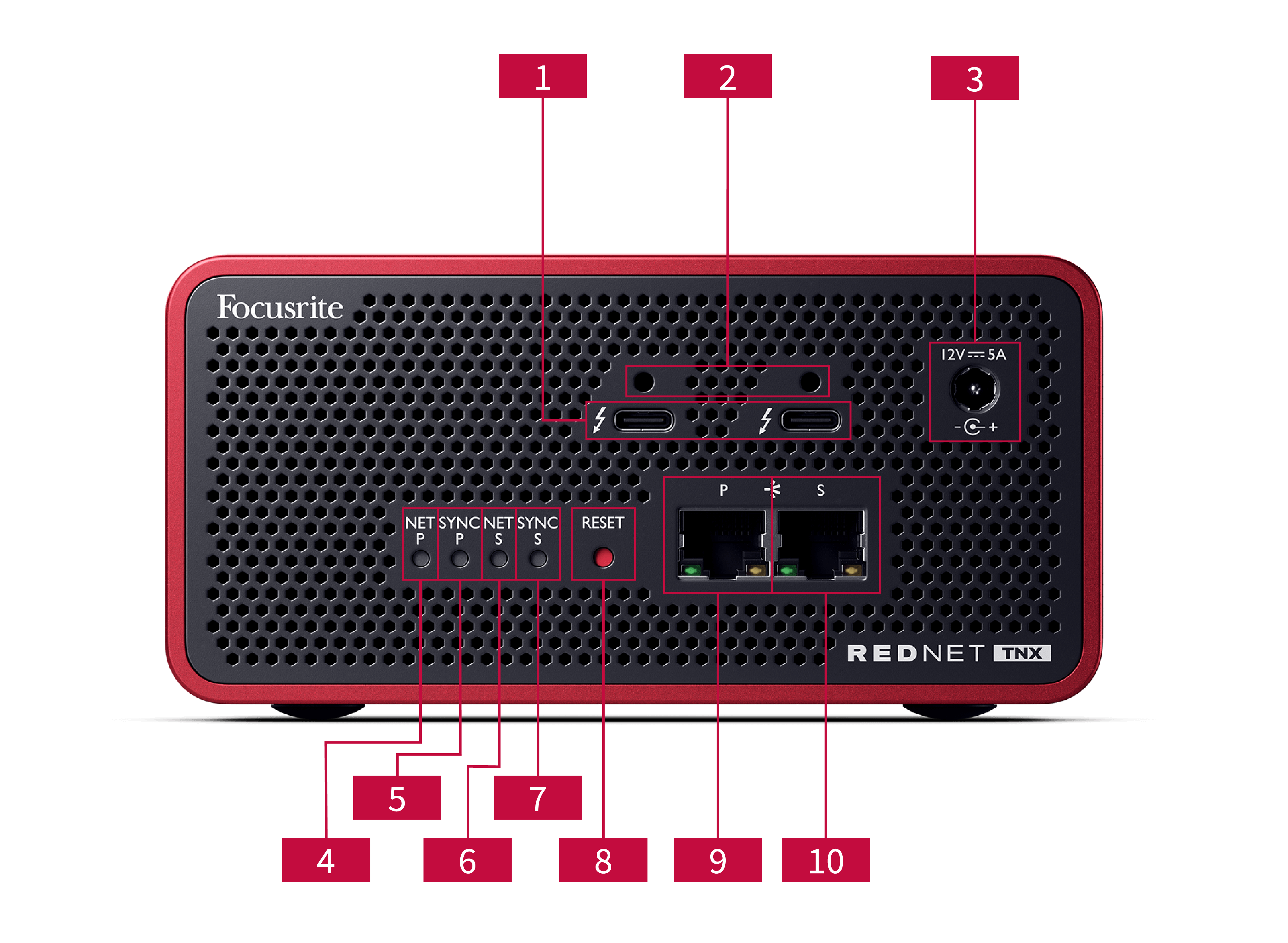 An image of the RedNet TNX back panel with callouts top to bottom, left to right, numbering the ports and indicator LEDs.
